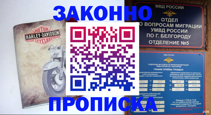 прописка для школы в Козельске