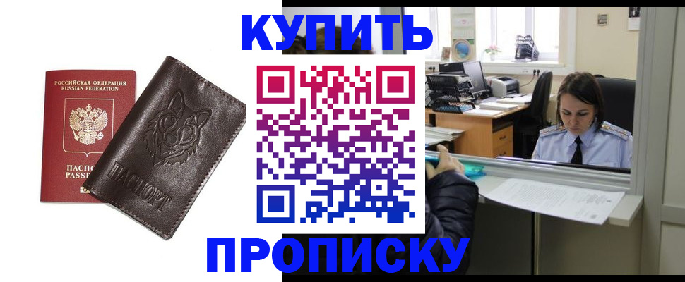 прописка штамп в Козельске